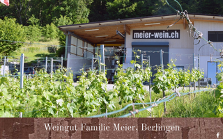meier-wein.ch