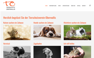tsow.ch